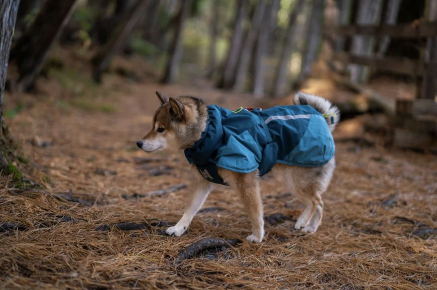 Тепла зимова куртка для собак Glacier jacket 3.0 Non-stop dogwear Бірюзовий 60 41312 фото