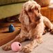 Игрушка мячик с отверстием для вкусняшек для собак Beco Pets Wobble Ball Розовый 31360 фото 5