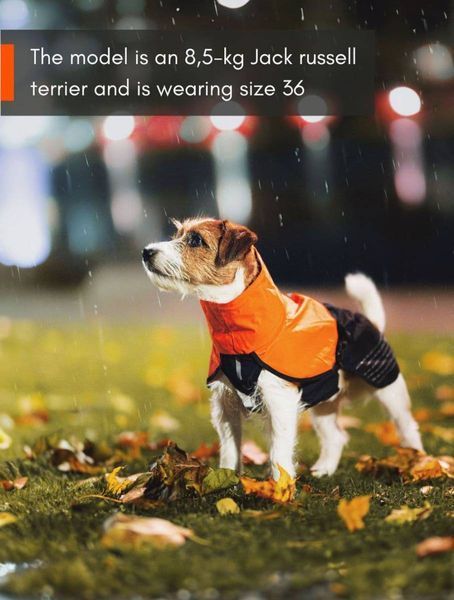 Дощовик для собак Fjord raincoat Non-stop dogwear Чорний/Помаранчевий 65 40945 фото