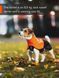 Дощовик для собак Fjord raincoat Non-stop dogwear Чорний/Помаранчевий 65 40945 фото 3