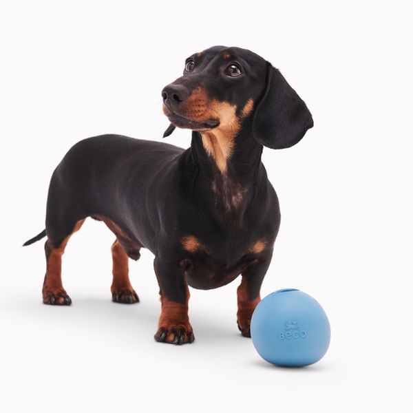 Іграшка м'ячик з отвором для ласощів для собак Beco Pets Wobble Ball Блакитний 31361 фото