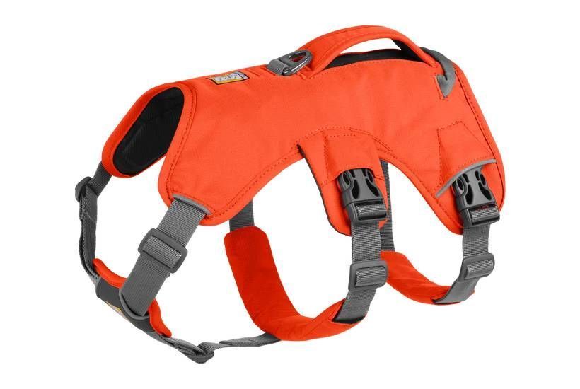 Підтримуюча шлейка для службових собак Ruffwear Web Master&trade; XXS 33-43 см Помаранчевий 30862 фото