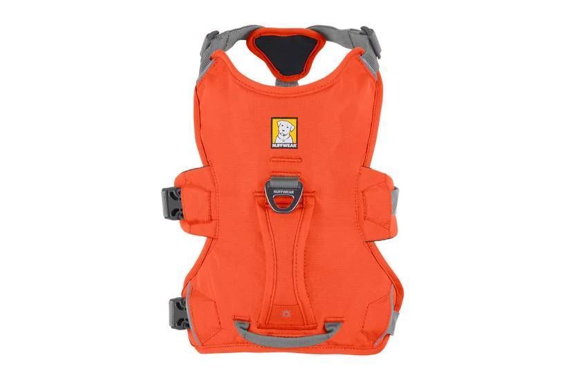 Підтримуюча шлейка для службових собак Ruffwear Web Master&trade; XXS 33-43 см Помаранчевий 30862 фото