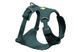 Шлея для собак Ruffwear Front Range&reg; Flex Harness XXXS Темно-бірюзовий 47188 фото 1