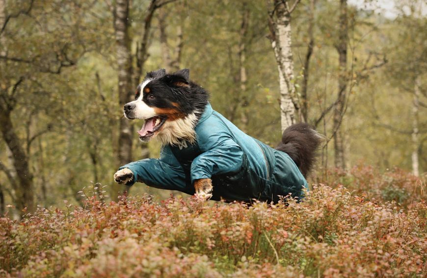Комбінезон для собак Non-stop dogwear Fjord overall raincoat Бірюзовий 36 41137 фото