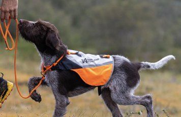 Жилет для собак Non-stop dogwear Protector cover 2.0 Білий/Чорний/Помаранчевий XL 41184 фото