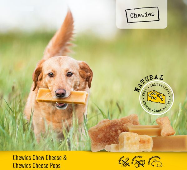 Сирні кульки для собак хрусткі сушені Chewies Toy-Pops Käse Natural 30 г 28445 фото