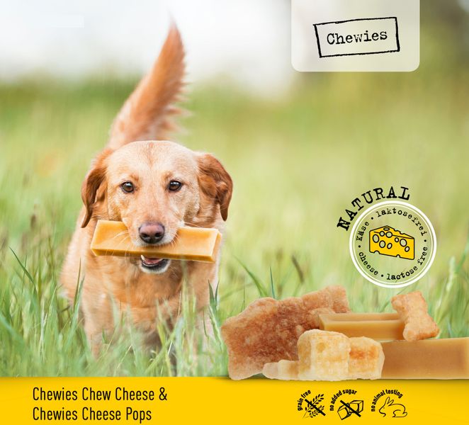 Сырные шарики для собак хрустящие сушеные Chewies Toy-Pops Käse Natural 30 г 28445 фото