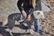 Утеплений комбінезон для собак Hurtta Midlayer Overall 30M Сірий 31445 фото 7