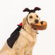 Комплект костюмів на Хелловін Дракула ZippyPaws Halloween Costume Kit Dracula з пищалкою 28508 фото 3