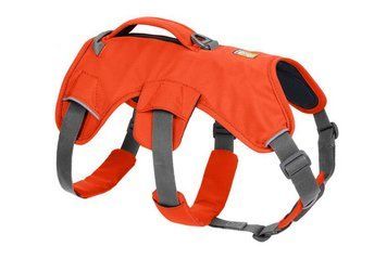 Підтримуюча шлейка для службових собак Ruffwear Web Master&trade; L/XL 81-107 см Помаранчевий 30866 фото