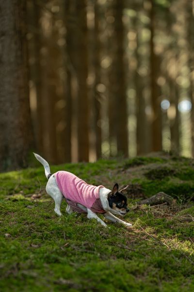 Флисовый пулловер для собак Non-stop dogwear Trail Quest Fleece Pullover Розовый 60 48671 фото