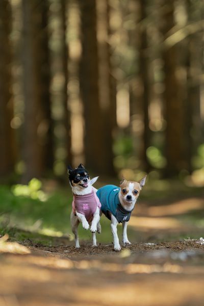 Флисовый пулловер для собак Non-stop dogwear Trail Quest Fleece Pullover Розовый 60 48671 фото