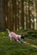Флисовый пулловер для собак Non-stop dogwear Trail Quest Fleece Pullover Розовый 60 48671 фото 2