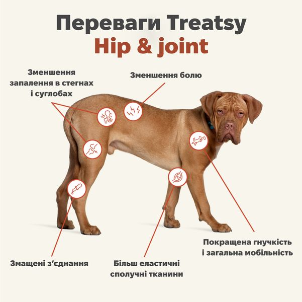 Витаминный комплекс для мышц и связок собак Treatsy Hip & Joint 180 г 60 шт 32742 фото