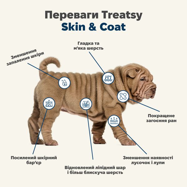 Вітамінний комплекс для вовни та шкіри собак Treatsy Skin & Coat 180 г 60 шт 32743 фото