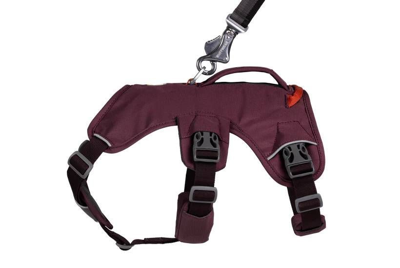 Підтримуюча шлейка для службових собак Ruffwear Web Master XXS 33-43 см Фіолетовий 30867 фото