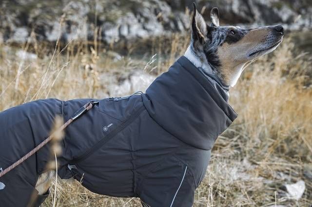 Теплий комбінезон для собак Hurtta Extreme Overall 35M Сірий 31475 фото