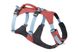 Легка шлейка для собак Ruffwear Flagline™ S 56-69 см Рожевий 30768 фото 1