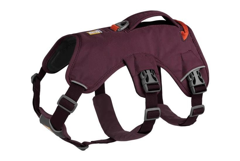 Підтримуюча шлейка для службових собак Ruffwear Web Master&trade; XS 43-56 см Фіолетовий 30868 фото