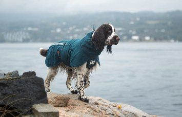 Дощовик для собак Non-stop dogwear Fjord lined Зелений 60 41330 фото