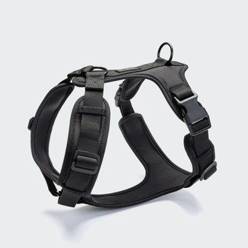 Y-подібна шлейка для собак Cloud7 Y-3 Harness AKTIV Чорний XL 46271 фото