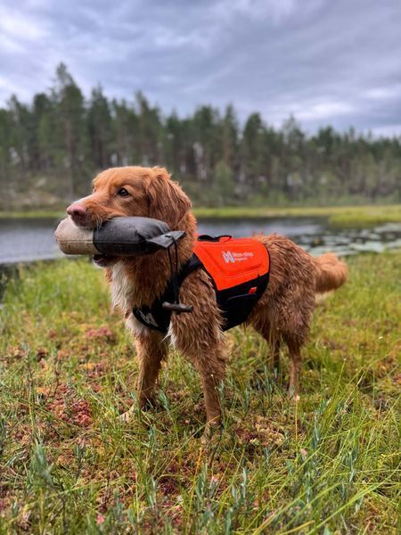 Захисний неопреновий жилет для собак Protector neoprene vest Non-stop dogwear Помаранчевий S 41090 фото