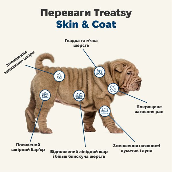 Функциональное масло для шерсти и кожи собак и кошек Treatsy Skin & Coat 250 мл 32746 фото