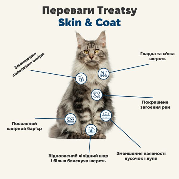 Функціональна олія для вовни та шкіри собак і кішок Treatsy Skin & Coat 250 мл 32746 фото