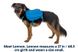 Шлейка-рюкзак для собаки Ruffwear Approach™ S Синий 30970 фото 10