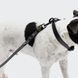 Біотановий повідець вільні руки для собак Cloud7 Hands-Free-Leash Ipanema Чорний 1,6 - 2,6 м One Size 46071 фото 3