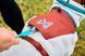Флисовая куртка для собак Trekking fleece jacket Non-stop dogwear Серый/Винный/Бирюзовый 40 40816 фото 4