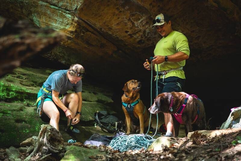 Легка шлейка для собак Ruffwear Flagline&trade; M 69-81 см Малиновий 30744 фото
