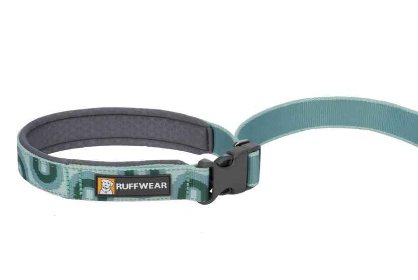 Рефлекторний повідець для собак Ruffwear Crag™ Бірюзово-зелений 30894 фото