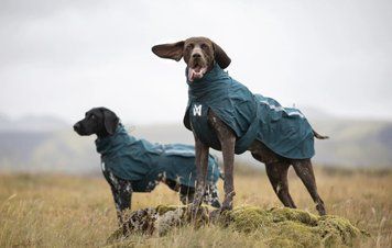 Дощовик для собак Non-stop dogwear Fjord lined Зелений 70 41332 фото