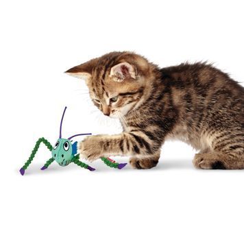 Игрушка для котов Kong Crackles Grasshopper 41652 фото