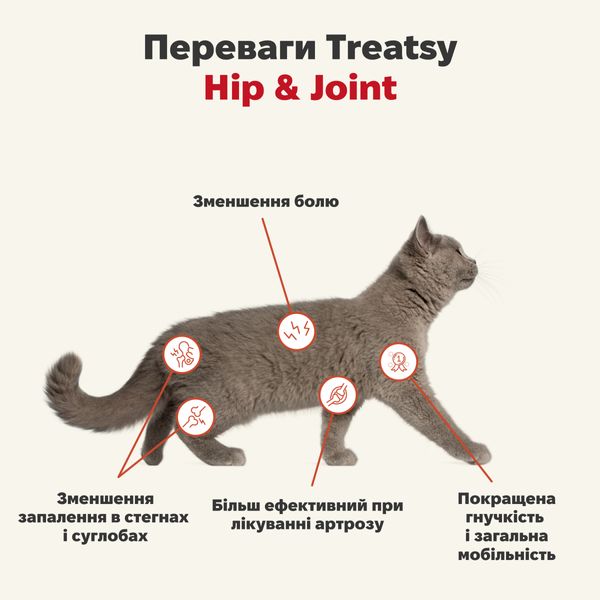 Функціональна олія для м'язів та зв'язок собак і кішок Treatsy Hip & Joint 250 мл 32747 фото