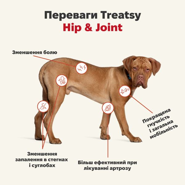 Функциональное масло для мышц и связок собак и кошек Treatsy Hip & Joint 250 мл 32747 фото