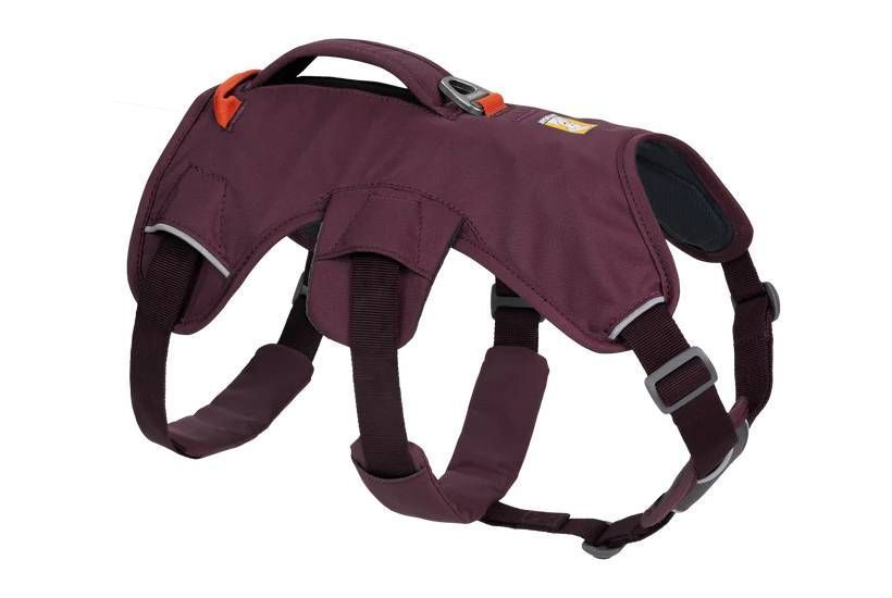 Підтримуюча шлейка для службових собак Ruffwear Web Master&trade; L/XL 81-107 см Фіолетовий 30871 фото