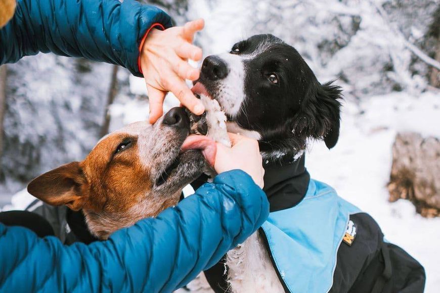 Мазь для догляду за лапами собак Paw care Non-stop dogwear 50 мл 40477 фото