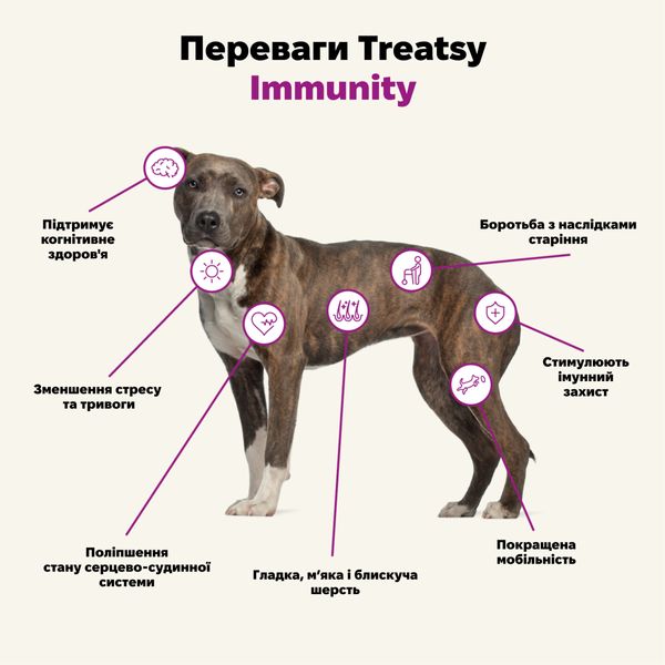 Функциональное масло для иммунитета собак и кошек Treatsy Immunity 250 мл 32748 фото