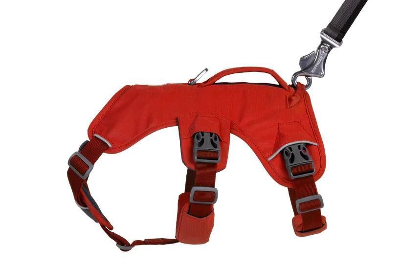 Підтримуюча шлейка для службових собак Ruffwear Web Master XXS 33-43 см Червоний 30872 фото