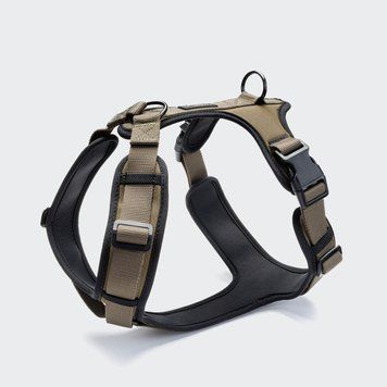 Y-подібна шлейка для собак Cloud7 Y-3 Harness AKTIV Оливковий XS 46274 фото