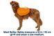 Шлейка-рюкзак для собаки Ruffwear Approach&trade; XS Оранжевый 30973 фото 2