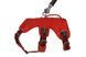 Підтримуюча шлейка для службових собак Ruffwear Web Master&trade; XS 43-56 см Червоний 30873 фото 5