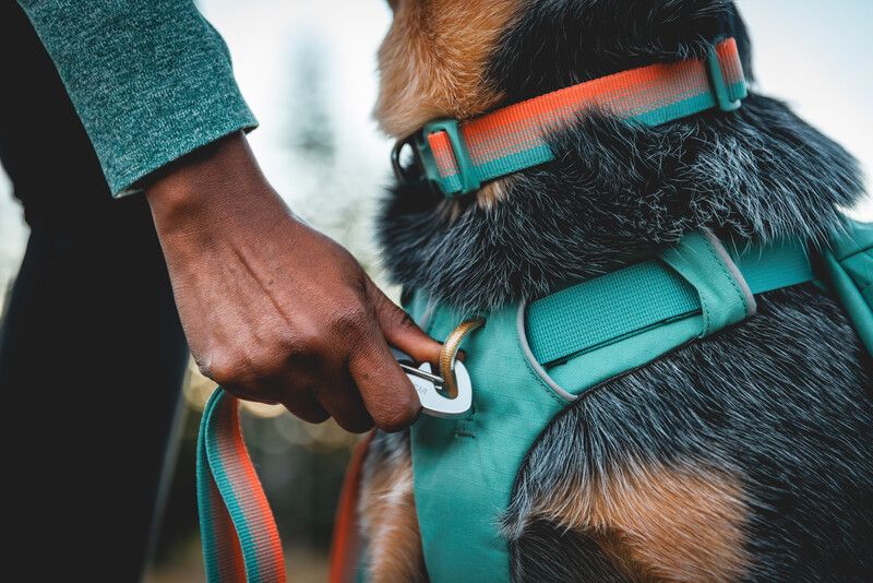 Повсякденний нашийник для собак Ruffwear Front Range™ 51-66 см Оранжево-сірий 30673 фото