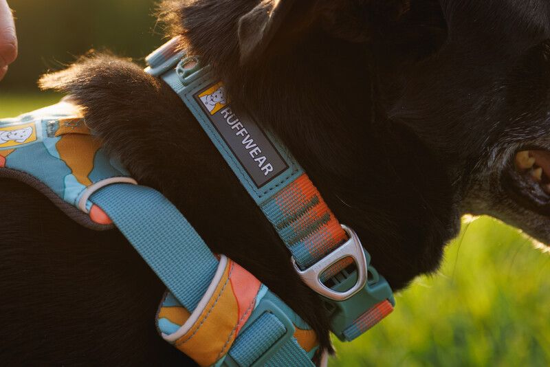 Повсякденний нашийник для собак Ruffwear Front Range™ 51-66 см Оранжево-сірий 30673 фото