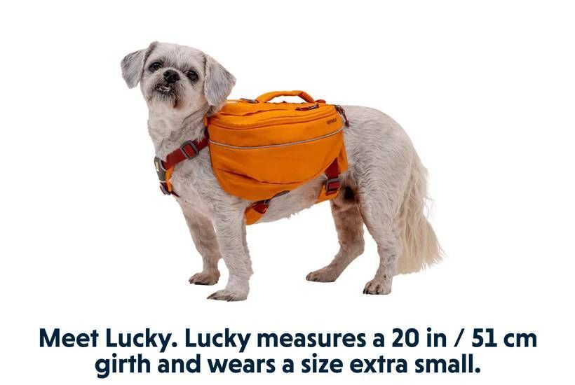 Шлейка-рюкзак для собаки Ruffwear Approach&trade; XS Оранжевый 30973 фото