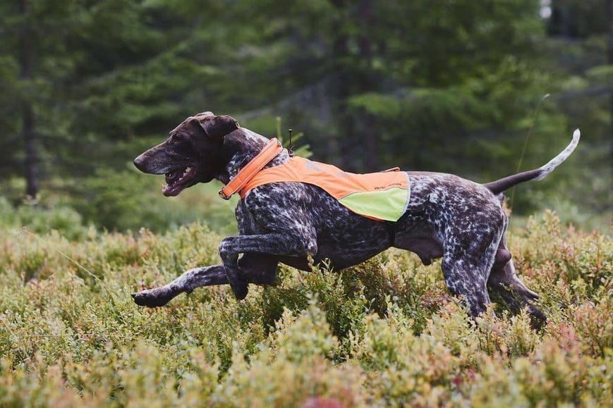 Світловідбивна накидка Protector cover Non-stop dogwear Помаранчевий L 40856 фото