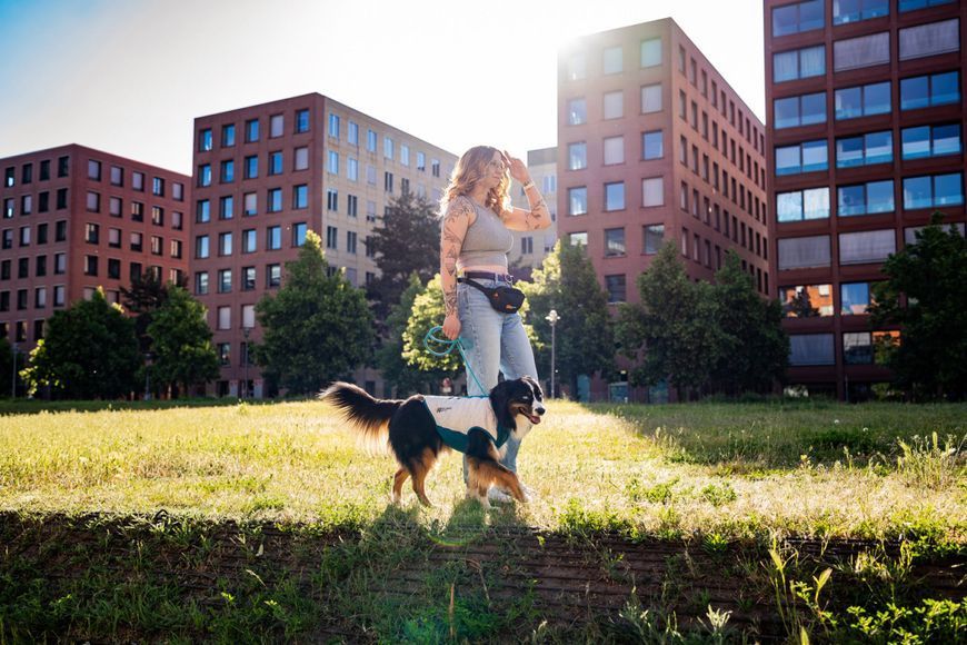 Охлаждающий жилет для собак Cooling pull-on Non-stop dogwear Серо-голубой 40 48597 фото